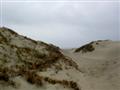 Through the dunes